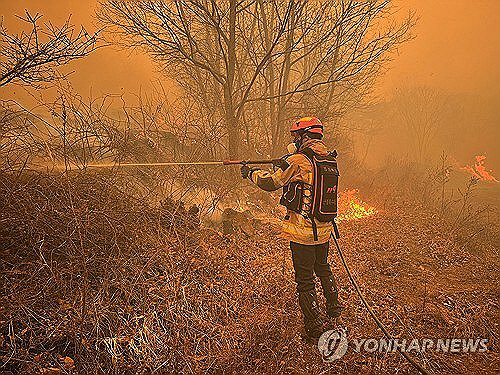 ) 22일 화재가 발생한 경북 의성군 안평면 괴산리 야산에서 경북소방본부 대원이 진화 작업을 펼치고 있다. 경북소방본부 제공